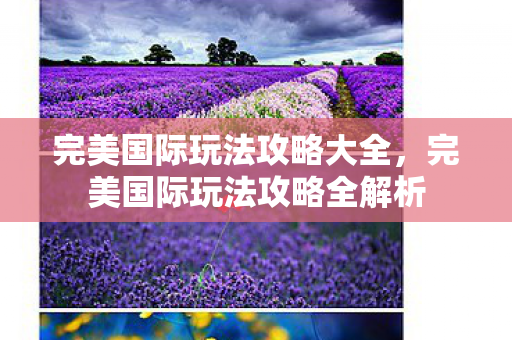 完美国际玩法攻略大全,完美国际玩法攻略全解析 完美国际玩法攻略大全,完美国际玩法攻略全解析