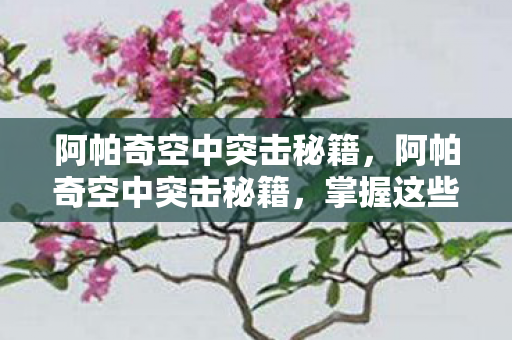 阿帕奇空中突击秘籍，阿帕奇空中突击秘籍，掌握这些技巧，成为空战高手！