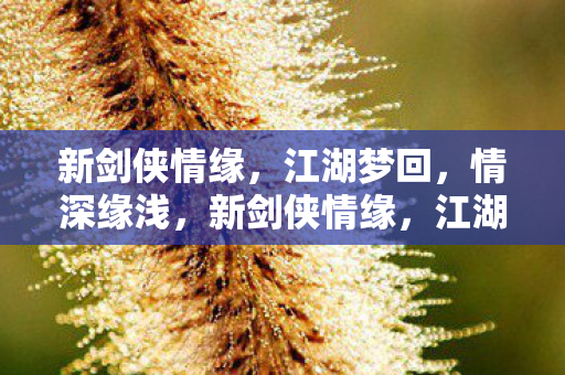 新剑侠情缘,江湖梦回,情深缘浅,新剑侠情缘,江湖梦回,情深缘浅 新剑侠情缘,江湖梦回,情深缘浅,新剑侠情缘,江湖梦回,情深缘浅