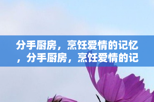 分手厨房,烹饪爱情的记忆,分手厨房,烹饪爱情的记忆与回忆 分手厨房,烹饪爱情的记忆,分手厨房,烹饪爱情的记忆与回忆