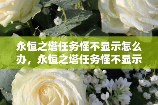 永恒之塔任务怪不显示怎么办,永恒之塔任务怪不显示解决方法 永恒之塔任务怪不显示怎么办,永恒之塔任务怪不显示解决方法
