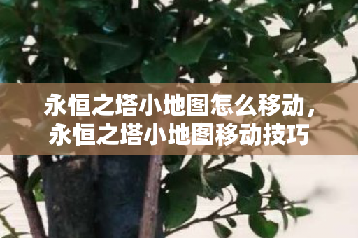 永恒之塔小地图怎么移动,永恒之塔小地图移动技巧 永恒之塔小地图怎么移动,永恒之塔小地图移动技巧