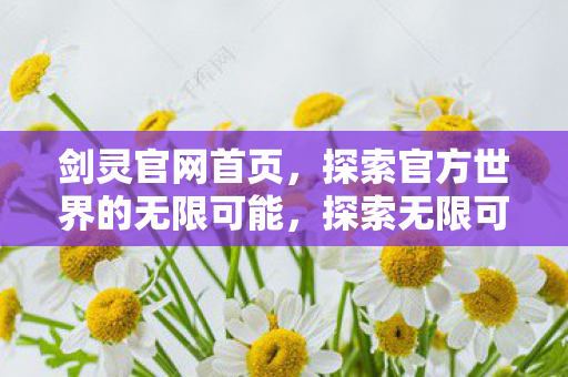 探索官方世界的无限可能图片