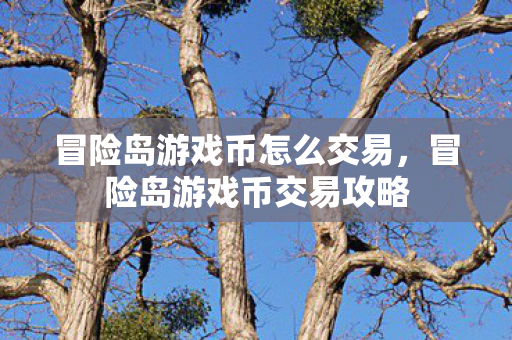 冒险岛游戏币怎么交易,冒险岛游戏币交易攻略 冒险岛游戏币怎么交易,冒险岛游戏币交易攻略