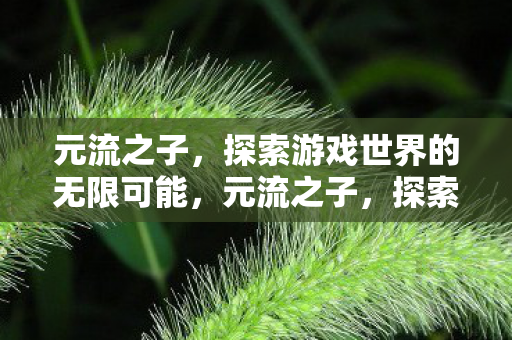 元流之子,探索游戏世界的无限可能,元流之子,探索游戏世界的无限可能 元流之子,探索游戏世界的无限可能,元流之子,探索游戏世界的无限可能