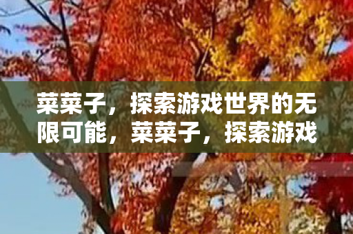 菜菜子，探索游戏世界的无限可能，菜菜子，探索游戏世界的无限可能