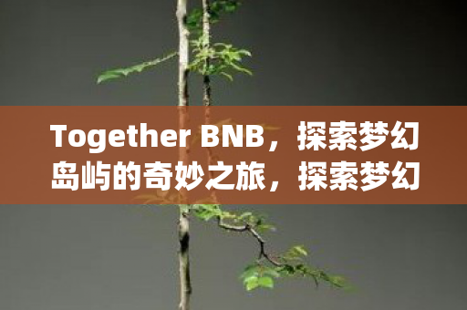 Together BNB,探索梦幻岛屿的奇妙之旅,探索梦幻岛屿,Together BNB的奇妙之旅 Together BNB,探索梦幻岛屿的奇妙之旅,探索梦幻岛屿,Together BNB的奇妙之旅