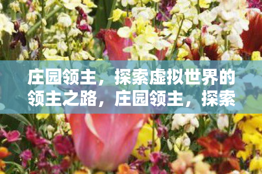 庄园领主,探索虚拟世界的领主之路,庄园领主,探索虚拟世界的领主之路 庄园领主,探索虚拟世界的领主之路,庄园领主,探索虚拟世界的领主之路