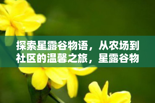 探索星露谷物语,从农场到社区的温馨之旅,星露谷物语,从农场到社区的温馨之旅 探索星露谷物语,从农场到社区的温馨之旅,星露谷物语,从农场到社区的温馨之旅
