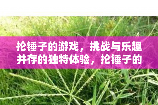 抡锤子的游戏，挑战与乐趣并存的独特体验，抡锤子的游戏，挑战与乐趣并存的独特体验