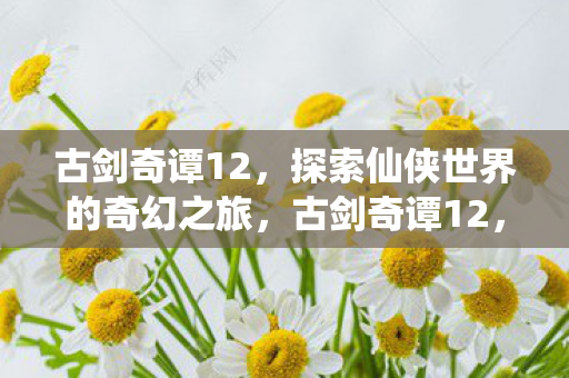 古剑奇谭12，探索仙侠世界的奇幻之旅，古剑奇谭12，探索仙侠世界的奇幻之旅
