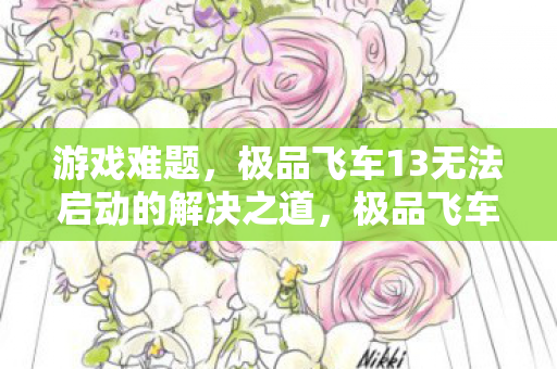 游戏难题,极品飞车13无法启动的解决之道,极品飞车13启动难题,解决无法启动的实用方法 游戏难题,极品飞车13无法启动的解决之道,极品飞车13启动难题,解决无法启动的实用方法