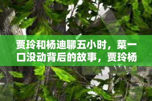 贾玲和杨迪聊五小时,菜一口没动背后的故事,贾玲杨迪聊五小时,菜未动背后的故事揭秘 贾玲和杨迪聊五小时,菜一口没动背后的故事,贾玲杨迪聊五小时,菜未动背后的故事揭秘