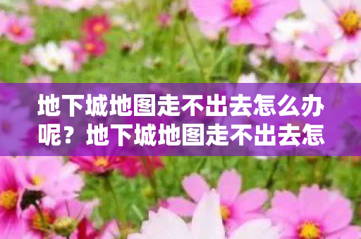 地下城地图走不出去怎么办呢?地下城地图走不出去怎么办? 地下城地图走不出去怎么办呢?地下城地图走不出去怎么办?