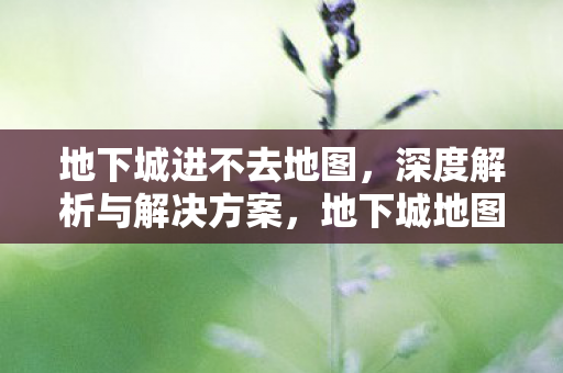 地下城进不去地图,深度解析与解决方案,地下城地图加载失败?深度解析与有效解决方案 地下城进不去地图,深度解析与解决方案,地下城地图加载失败?深度解析与有效解决方案