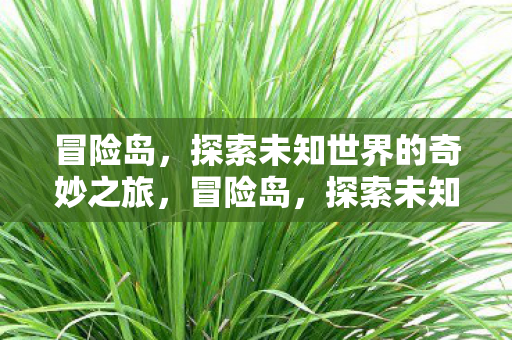 冒险岛,探索未知世界的奇妙之旅,冒险岛,探索未知世界的奇妙之旅 冒险岛,探索未知世界的奇妙之旅,冒险岛,探索未知世界的奇妙之旅