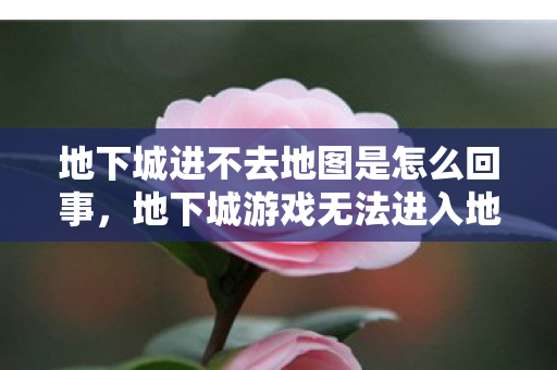 地下城进不去地图是怎么回事,地下城游戏无法进入地图的解决方法 地下城进不去地图是怎么回事,地下城游戏无法进入地图的解决方法