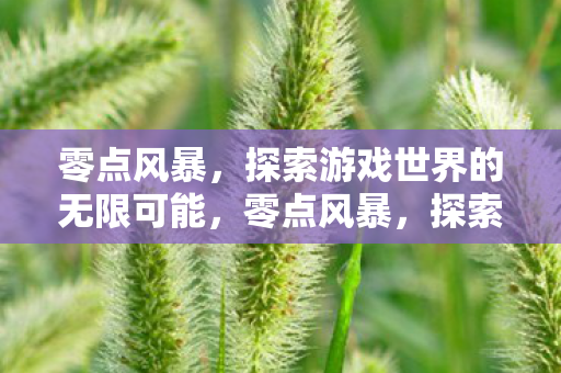 零点风暴,探索游戏世界的无限可能,零点风暴,探索游戏世界的无限可能 零点风暴,探索游戏世界的无限可能,零点风暴,探索游戏世界的无限可能