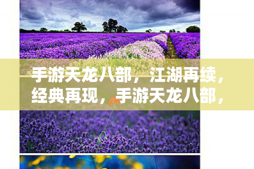 手游天龙八部,江湖再续,经典再现,手游天龙八部,江湖再续,经典再现 手游天龙八部,江湖再续,经典再现,手游天龙八部,江湖再续,经典再现