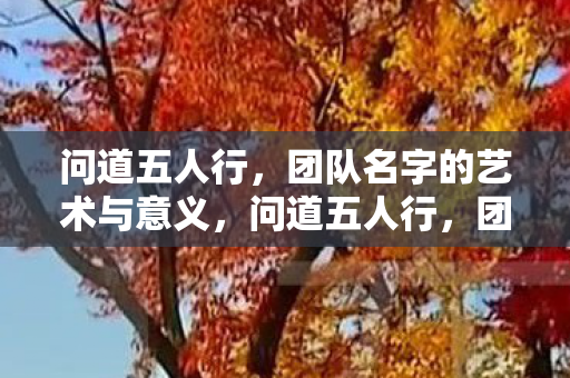 问道五人行,团队名字的艺术与意义,问道五人行,团队名字的艺术与意义探索 问道五人行,团队名字的艺术与意义,问道五人行,团队名字的艺术与意义探索