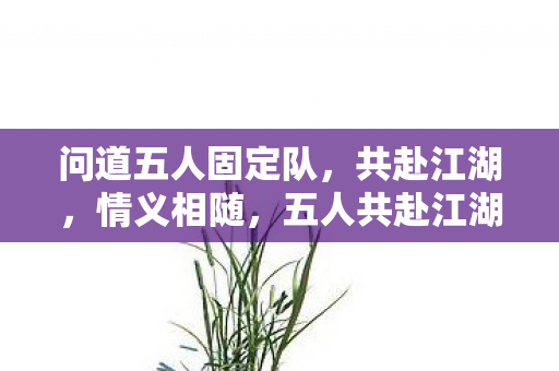 问道五人固定队,共赴江湖,情义相随,五人共赴江湖路 情义相随问道行 问道五人固定队,共赴江湖,情义相随,五人共赴江湖路 情义相随问道行