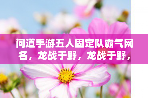 问道手游五人固定队霸气网名,龙战于野,龙战于野,问道手游五人固定队霸气网名 问道手游五人固定队霸气网名,龙战于野,龙战于野,问道手游五人固定队霸气网名