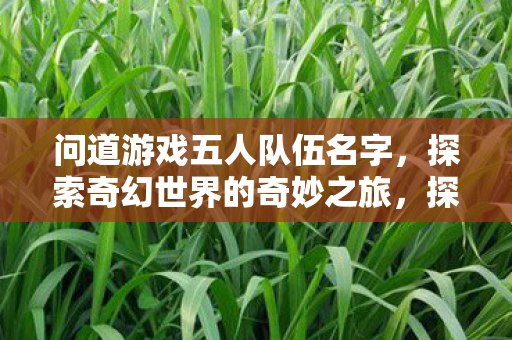 问道游戏五人队伍名字,探索奇幻世界的奇妙之旅,探索奇幻世界的奇妙之旅,问道游戏五人队伍名字 问道游戏五人队伍名字,探索奇幻世界的奇妙之旅,探索奇幻世界的奇妙之旅,问道游戏五人队伍名字