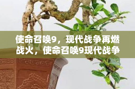 使命召唤9，现代战争再燃战火，使命召唤9现代战争再燃战火