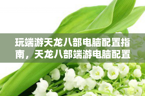 玩端游天龙八部电脑配置指南,天龙八部端游电脑配置推荐 玩端游天龙八部电脑配置指南,天龙八部端游电脑配置推荐