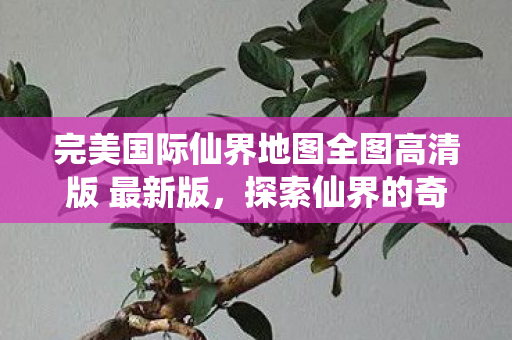 完美国际仙界地图全图高清版 最新版,探索仙界的奇妙之旅,完美国际仙界地图全图高清版,探索仙界的奇妙之旅 完美国际仙界地图全图高清版 最新版,探索仙界的奇妙之旅,完美国际仙界地图全图高清版,探索仙界的奇妙之旅