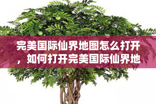 完美国际仙界地图怎么打开，如何打开完美国际仙界地图？