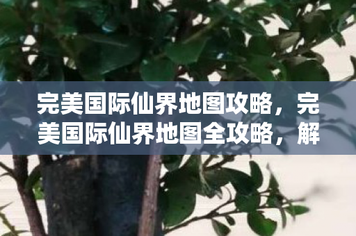 完美国际仙界地图攻略，完美国际仙界地图全攻略，解锁仙界奥秘，探索未知领域