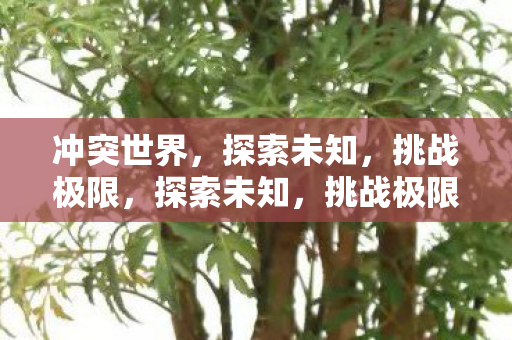 冲突世界,探索未知,挑战极限,探索未知,挑战极限,冲突世界的冒险之旅 冲突世界,探索未知,挑战极限,探索未知,挑战极限,冲突世界的冒险之旅