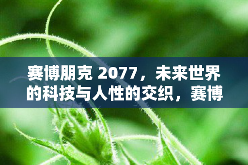 赛博朋克 2077，未来世界的科技与人性的交织，赛博朋克 2077，未来科技与人性的交织与挑战