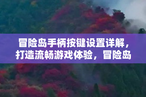 冒险岛手柄按键设置详解,打造流畅游戏体验,冒险岛手柄按键设置全解析,助你打造流畅游戏体验 冒险岛手柄按键设置详解,打造流畅游戏体验,冒险岛手柄按键设置全解析,助你打造流畅游戏体验