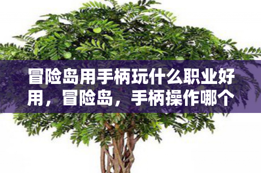 冒险岛用手柄玩什么职业好用,冒险岛,手柄操作哪个职业最给力? 冒险岛用手柄玩什么职业好用,冒险岛,手柄操作哪个职业最给力?