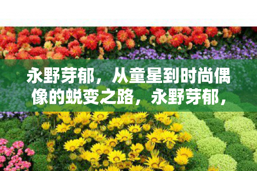 永野芽郁,从童星到时尚偶像的蜕变之路,永野芽郁,童星到时尚偶像的蜕变之路 永野芽郁,从童星到时尚偶像的蜕变之路,永野芽郁,童星到时尚偶像的蜕变之路