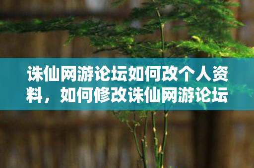 诛仙网游论坛如何改个人资料,如何修改诛仙网游论坛的个人资料? 诛仙网游论坛如何改个人资料,如何修改诛仙网游论坛的个人资料?