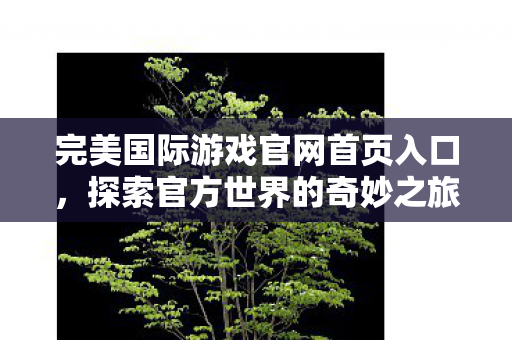 完美国际游戏官网首页入口,探索官方世界的奇妙之旅,探索完美国际游戏官网,开启官方世界的奇妙之旅 完美国际游戏官网首页入口,探索官方世界的奇妙之旅,探索完美国际游戏官网,开启官方世界的奇妙之旅