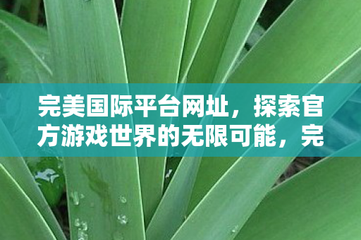 完美国际平台网址,探索官方游戏世界的无限可能,完美国际平台,探索官方游戏世界的无限可能 完美国际平台网址,探索官方游戏世界的无限可能,完美国际平台,探索官方游戏世界的无限可能
