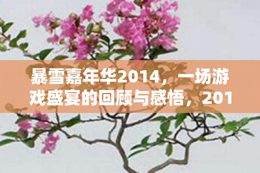 暴雪嘉年华2014,一场游戏盛宴的回顾与感悟,2014暴雪嘉年华,游戏盛宴的回顾与感悟 暴雪嘉年华2014,一场游戏盛宴的回顾与感悟,2014暴雪嘉年华,游戏盛宴的回顾与感悟