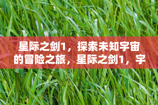 星际之剑1，探索未知宇宙的冒险之旅，星际之剑1，宇宙冒险之旅启程