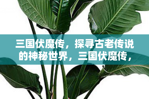 三国伏魔传,探寻古老传说的神秘世界,三国伏魔传,探寻古老传说的神秘世界 三国伏魔传,探寻古老传说的神秘世界,三国伏魔传,探寻古老传说的神秘世界