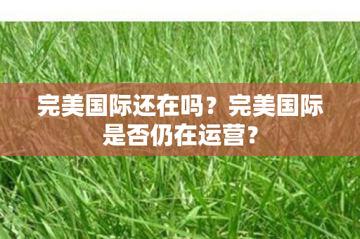 完美国际还在吗?完美国际是否仍在运营? 完美国际还在吗?完美国际是否仍在运营?