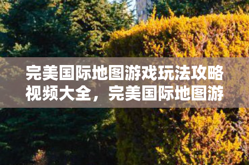 完美国际地图游戏玩法攻略视频大全,完美国际地图游戏玩法攻略视频全解析 完美国际地图游戏玩法攻略视频大全,完美国际地图游戏玩法攻略视频全解析