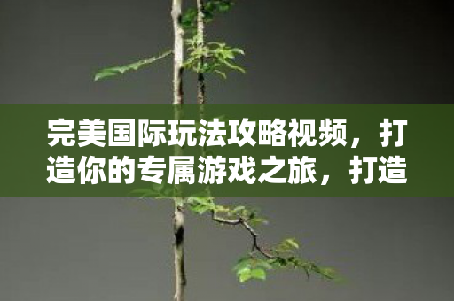 完美国际玩法攻略视频,打造你的专属游戏之旅,打造专属游戏之旅,完美国际玩法攻略视频 完美国际玩法攻略视频,打造你的专属游戏之旅,打造专属游戏之旅,完美国际玩法攻略视频