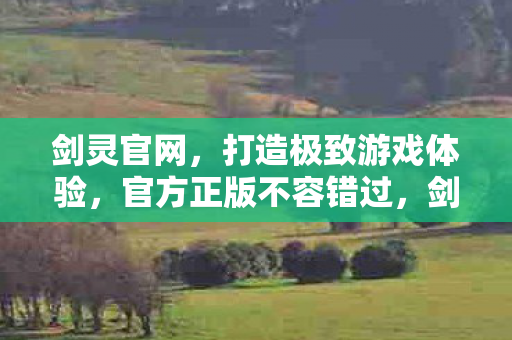 剑灵官网打造极致游戏体验图片
