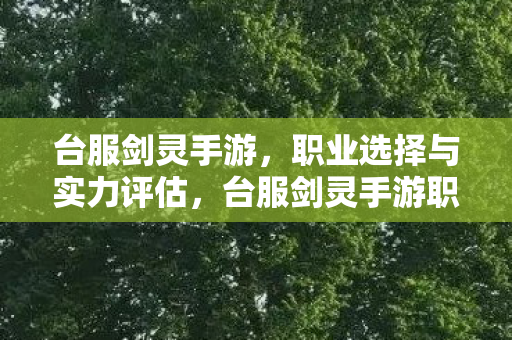 台服剑灵手游,职业选择与实力评估,台服剑灵手游职业选择与实力评估指南 台服剑灵手游,职业选择与实力评估,台服剑灵手游职业选择与实力评估指南