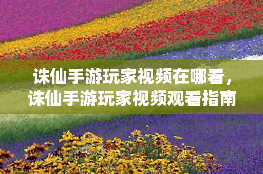 诛仙手游玩家视频在哪看，诛仙手游玩家视频观看指南