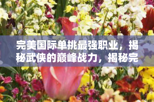 完美国际单挑最强职业,揭秘武侠的巅峰战力,揭秘完美国际单挑最强职业,武侠的巅峰战力 完美国际单挑最强职业,揭秘武侠的巅峰战力,揭秘完美国际单挑最强职业,武侠的巅峰战力